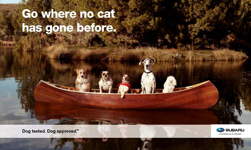 % Dogs in a Trapper canoe. Ferom Suburu advertising campaign